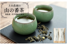 【上田農園】土地の恵みだけで育てた　無農薬　山の番茶（2袋) /  茶 お茶  番茶　無農薬　有機栽培　無添加【ued006】