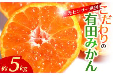 【2025年12月発送】＼光センサー選別／農家直送 【家庭用】こだわりの有田みかん　約5kg＋250g(傷み補償分) みかん ミカン 有田みかん 温州みかん 柑橘 有田 和歌山 ※北海道・沖縄・離島配送不可/みかん ミカン 有田みかん 温州みかん 柑橘 有田 和歌山 産地直送【nuk160-12】