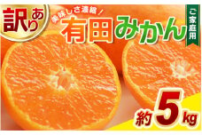 【訳あり】農家直送 有田みかん 約5kg ご家庭用 サイズ混合 ※※11月中旬から1月中旬までに順次発送予定 （お届け日指定不可）※北海道・沖縄・離島への配送不可　訳ありみかん 温州みかんイズ混合 訳ありみかん 温州みかん 有機質肥料100% ふるさと納税 柑橘 有田 産地直送【nuk161B】