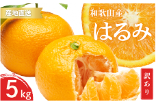 【先行予約】訳あり はるみ 和歌山 有田 2S～3Lサイズ混合 5kg【2025年1月下旬～3月下旬までに順次発送予定】/ みかん フルーツ 果物 くだもの 蜜柑 柑橘【ktn050】