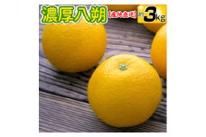 【先行予約】【産地直送】濃厚八朔（ご家庭用）約3kg｜はっさく 柑橘 サイズおまかせ 期間限定 ※着日指定不可　※2025年2月中旬～3月下旬頃に順次発送予定【ard168A】
