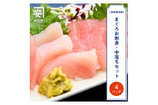 【訳あり】南紀勝浦 お刺身・中落ち4点セット/まぐろ マグロ 鮪 勝浦【kys008】