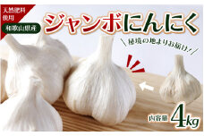 令和７年度産 秘境の地からお届けする あゆみファームのご家庭用ジャンボにんにく 4kg【7月下旬から順次発送】/ にんにく ニンニク ジャンボにんにく 予約受付 ガーリック 和歌山【aym016】