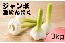 令和７年度産 秘境の地からお届けする あゆみファームのご家庭用新ジャンボ生にんにく 3kg【6月中旬～７月上旬から順次発送】/ にんにく ニンニク ジャンボにんにく 予約受付 ガーリック 和歌山【aym020】