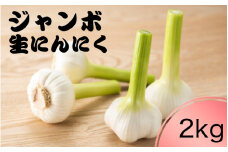 令和７年度産 秘境の地からお届けする あゆみファームのご家庭用新ジャンボ生にんにく 2kg【6月中旬～７月上旬から順次発送】/ にんにく ニンニク ジャンボにんにく 予約受付 ガーリック 和歌山【aym019】