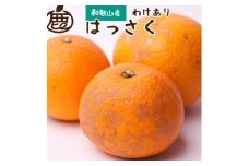 ＜先行予約＞家庭用はっさく10kg+250g（傷み補償分）【八朔みかん】【わけあり】＜1月より発送＞ ※北海道・沖縄・離島への配送不可【ikd225】