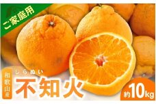＜2月より発送＞【先行予約】家庭用不知火10kg+250g（傷み補償分）【デコポンと同品種・人気の春みかん】【わけあり・訳あり】 / 和歌山 みかん 果物 ミカン フルーツ 果実 柑橘 デコポン【ikd232】