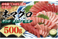 本マグロ（養殖）トロ＆赤身セット 500g 【1ヶ月以内に発送】【配達日指定不可】まぐろ マグロ 鮪 中トロ 赤身 柵【nks110D】