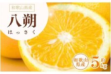 八朔(はっさく) 約5kg サイズおまかせ　紀伊国屋文左衛門本舗 ※2025年1月下旬～2025年4月上旬頃発送予定【ntb410A】