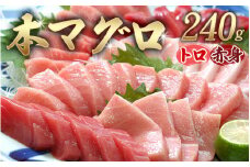 本マグロ（養殖）トロ＆赤身セット 240g 【1ヶ月以内に発送】【配達日指定不可】 まぐろ マグロ 鮪 中トロ 赤身 柵【nks113】
