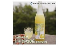 じゃばらのお酒 じゃばら村 720ml×2本（芳醇タイプ） 【njb441】