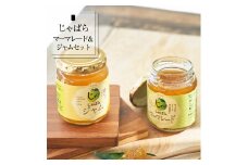 【幻の柑橘】じゃばらジャム・マーマレードセット（各１個） 無添加 食べ比べセット【njb334sA】