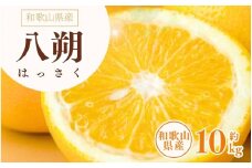 八朔(はっさく)約10kg サイズおまかせ　紀伊国屋文左衛門本舗 ※2025年1月下旬～2025年4月上旬頃発送予定【ntb411A】