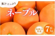 ネーブル 約7kg/サイズおまかせ　※2025年1月中旬～2025年2月上旬頃に順次発送予定(お届け日指定不可)　紀伊国屋文左衛門本舗【ntb430A】