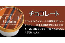 プレミアムジェラート チョコレート12個セット アイスクリームセット 100mlカップ ゆあさジェラートラボラトリー【ntb700-03】