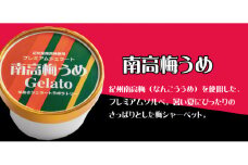 プレミアムジェラート 南高梅うめソルベ12個セット アイスクリームセット 100mlカップ ゆあさジェラートラボラトリー【ntb700-06】