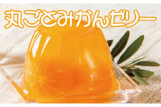 丸ごとみかんが３個入った！田村みかんフルーツまるごとゼリー ２５０ｇ×９個 【uot106】