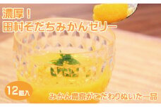 濃厚！田村そだちみかんゼリー【uot100】