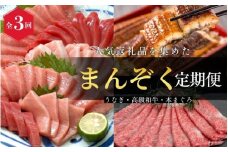 【全3回定期便】 国産うなぎ 高級和牛 本マグロ 〈人気返礼品を集めました！〉 / 鰻 ウナギ うなぎ蒲焼 うなぎの蒲焼 肉 お肉 牛肉 和牛 黒毛和牛 ブランド牛 しゃぶしゃぶ すき焼き マグロ まぐろ 鮪 トロ 中とろ 柵 刺し身 海鮮 人気 おすすめ うなぎ定期便 肉定期便 魚定期便 【tkb104】