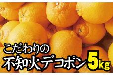 こだわりの デコポン 不知火 約5kg 有機質肥料100% 農家直送 光センサー選別 ※2025年2月中旬より順次発送予定（お届け日指定不可） 不知火 デコポン みかん ミカン 柑橘 フルーツ 果物 くだもの 人気 旬 産地直送【nuk111B】