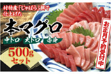 本マグロ（養殖）トロ＆赤身セット 500g　【年末発送（12月26日～30日発送）】【配達日指定不可】【nks110-cp-sg】