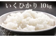 いくひかり（和歌山県日高郡産）10kg［2023年産］【hsc102】