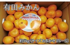 有田みかん　約5kg（サイズはおまかせになります。2S～S）【hsc101】