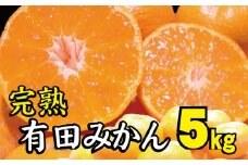 【2022年冬頃発送予約分】＼光センサー選別／ 【農家直送】完熟有田みかん 約5kg 有機質肥料100%  サイズ混合　※2022年12月上旬～2023年1月下旬に順次発送予定（お届け日指定不可）【nuk118】