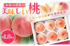【先行予約】 和歌山県産 の 美味しい 桃 （5～8玉入り）【2025年6月中旬頃から8月上旬頃発送予定】  和歌山 もも モモ 桃 ギフト 贈り物 プレゼント 夏ギフト 果物 フルーツ 人気 産地直送 和歌山県 お取り寄せ【mat101B】