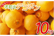 ＼光センサー選別／ 【訳あり】ちょこっと訳あり不知火デコポン 約10kg【ご家庭用】 ※2025年2月中旬より順次発送予定（お届け日指定不可）【nuk121C】
