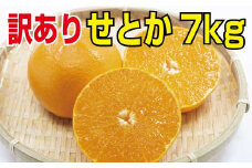 ＼光センサー選別／ 【訳あり】ちょこっと訳ありせとか 約7kg【ご家庭用】 ※2024年2月下旬より順次発送予定（お届け日指定不可）数量限定【nuk124】