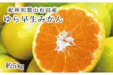 紀州和歌山有田産ゆら早生みかん 5㎏　※2025年10月中旬頃～2025年10月末頃順次発送（お届け日指定不可）【uot721】
