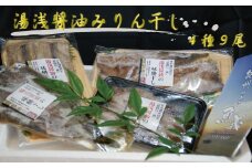 和歌山の近海でとれた新鮮魚の湯浅醤油みりん干し4品種9尾入りの詰め合わせ
【tec200A】