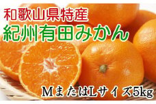 [秀品]和歌山有田みかん　5kg(MサイズまたはLサイズのいずれか) ※2025年11月中旬～2026年1月中旬頃に順次発送【tec834A】
