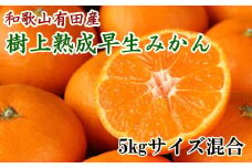 紀州有田産早生みかんの樹上熟成みかん5kg(サイズ混合) ※2021年1月中旬より順次発送【tec803】