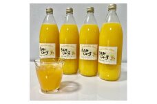 【果汁100%】無添加！贅沢絞りの清見オレンジストレートジュース1000ml×4本セット【2023年3月頃から順次発送予定】【nuk123】