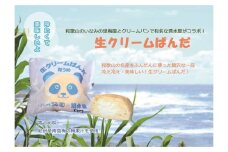 生クリームぱんだ （青うめ） 10個 もっちりふわふわのパンで包んだ絶品パン【inm910】