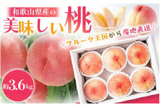 【先行予約】和歌山県産 の 美味しい 桃 （11～15玉入り）【2025年6月中旬頃から8月上旬頃順次発送予定】 和歌山 もも モモ 桃 ギフト 贈り物 プレゼント 夏ギフト 果物 フルーツ 人気 産地直送 和歌山県 お取り寄せ【mat100B】