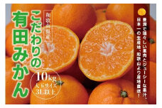 ＼光センサー選別／ 【農家直送】有田みかん 約10kg  大玉3L以上 有機質肥料100% ※2024年12月初旬～12月末に順次発送(お届け日指定不可) / みかん 大玉 蜜柑 有田 柑橘 フルーツ 果物 くだもの 12月【nuk139D】