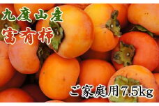 ≪柿の名産地≫九度山の富有柿約7.5kgご家庭用＜2024年11月上旬～2024年12月上旬ごろ順次発送＞【tec413A】