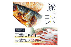 迷ったらコレ！！魚鶴商店の天然紅サケ１ｋｇ & 塩さばフィレ６枚セット【uot744A-1】