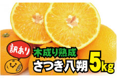 訳あり 木成り熟成さつき八朔 5kg (S～サイズおまかせまたは混合) ご家庭用 ※2022年4月上旬より順次発送予定（お届け日指定不可）【tec844-wk】