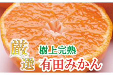 厳選　完熟有田みかん2kg+60g（傷み補償分）【光センサー選別】＜11月上旬より順次発送予定＞【ikd005B】