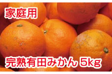 家庭用　完熟有田みかん5kg+150g（傷み補償分）【わけあり・訳あり】【光センサー選別】＜11月上旬より順次発送予定＞【ikd007B】