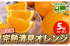 ＼ みかんの名産地 和歌山県産／ 農家直送 完熟清見オレンジ 5kg (M～２Lサイズおまかせ) ひとつひとつ手選別で厳選【2026年3月中旬～4月下旬ごろに順次発送予定】【hdm003A】
