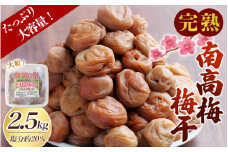 【数量限定】完熟南高梅 白梅干し 2.5kg (1.25kg×2パック)  塩分約20％ 完全無添加 サイズ混合 ご家庭用 【2025年9月より発送予定】 / 梅 うめ ウメ 梅干し 梅干 南高梅 白干 白干し 白梅 白梅干し 完熟 大粒 無添加 和歌山県 北山村【njb647】
