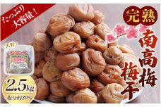 【数量限定】完熟南高梅 白梅干し 2.5kg (1.25kg×2パック)  塩分約20％ 完全無添加 サイズ混合 ご家庭用 【2025年9月より発送予定】 / 梅 うめ ウメ 梅干し 梅干 南高梅 白干 白干し 白梅 白梅干し 完熟 大粒 無添加 和歌山県 北山村【njb647】