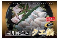【先行予約】幻のクエ！国産 養殖クエ鍋 500g くえ 鍋 セット 【fki100】