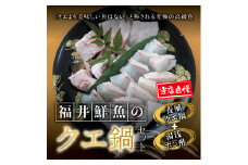 【先行予約】幻のクエ！和歌山県産 鍋＆湯浅ゆずポン酢セット くえ 鍋 セット【fki102】