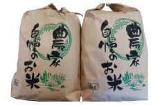 日本晴【2022年度産】10kg / 米 こめ 白米 【hsc109】